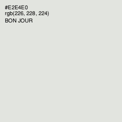 #E2E4E0 - Bon Jour Color Image